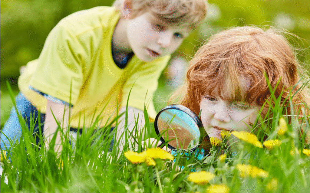 Children are learning about the natural environment.